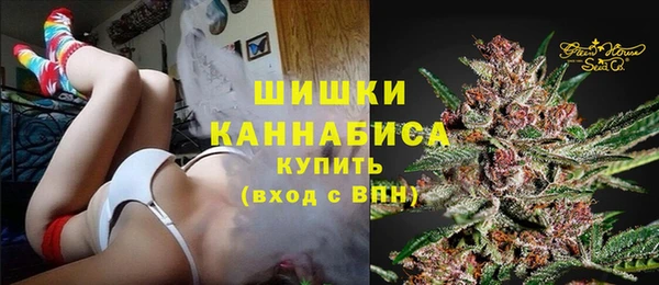 прущие грибы Мегион