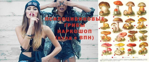 прущие грибы Мегион