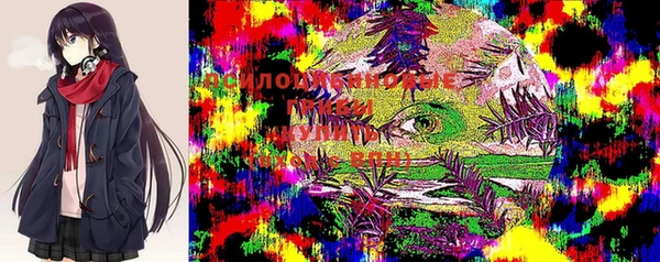 прущие грибы Мегион