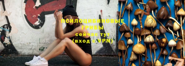 соль курить ск Медногорск