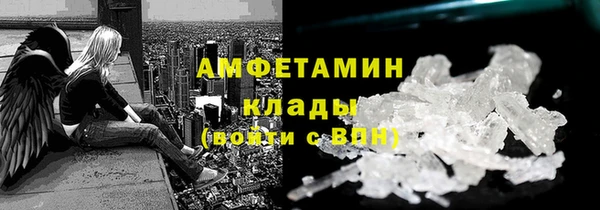 прущие грибы Мегион